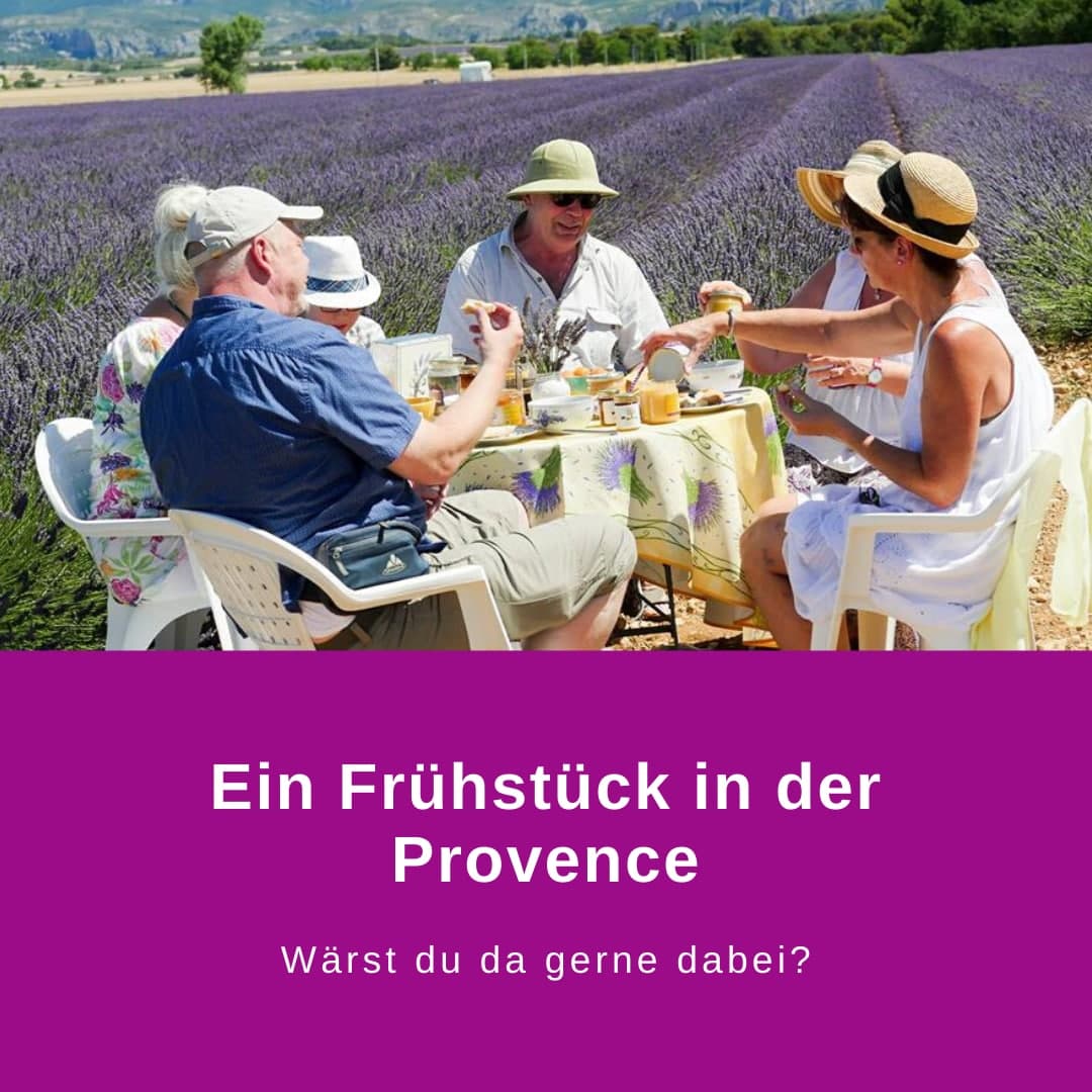 Original Provence Lavendelhonig